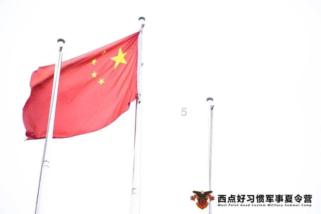 玄凤鹦鹉可以吃当归吗？